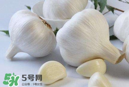 新蒜頭怎么保存不發芽？新蒜頭怎么存放