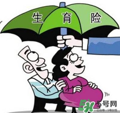 生育保險能報多少錢？生育保險報銷條件、流程