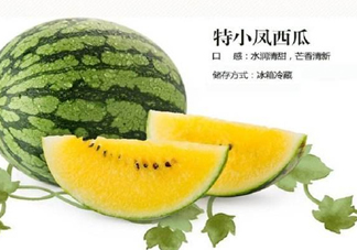 特小鳳西瓜是轉基因嗎？特小鳳西瓜是不是轉基因