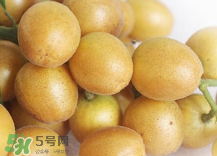 雞心黃皮幾年才掛果？雞心黃皮如何種植管理