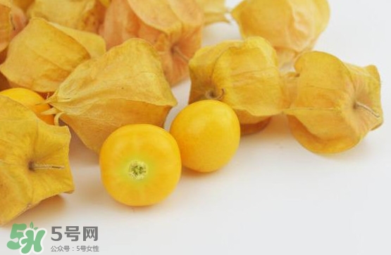 姑娘果是寒性嗎？姑娘果是涼性還是熱性？