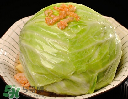 圓白菜是包菜嗎？圓白菜是大頭菜嗎？