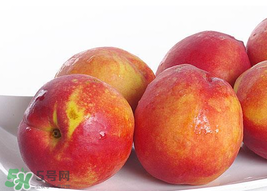 吃油桃會拉肚子嗎？拉肚子可以吃油桃嗎？