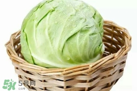 圓白菜是包菜嗎？圓白菜是大頭菜嗎？