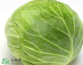 圓白菜是什么菜？圓白菜能生吃嗎？
