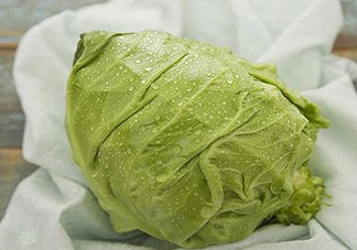 圓白菜是包菜嗎？圓白菜是大頭菜嗎？