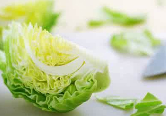圓白菜怎么做好吃？圓白菜有什么功效