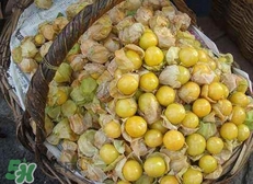 花姑娘水果怎么吃？花姑娘水果吃之前要洗嗎？
