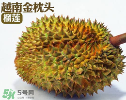 紅心榴蓮多少錢一斤？紅心榴蓮為什么這么貴？