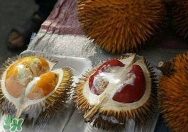 紅心榴蓮多少錢一斤？紅心榴蓮為什么這么貴？