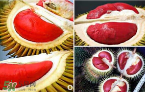 紅心榴蓮叫什么？紅心榴蓮是哪個國家產的？