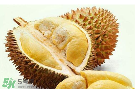 紅心榴蓮是轉基因的嗎？紅心榴蓮是不是轉基因？
