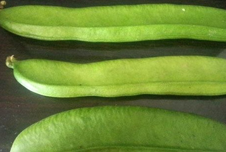 刀豆是發(fā)物嗎？刀豆是不是發(fā)物