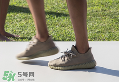 adidas yeezy 350 boost v2 dark green椰子350大地綠多少錢？