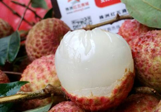白糖罌荔枝怎樣保果的？白糖罌荔枝和白蠟的區別