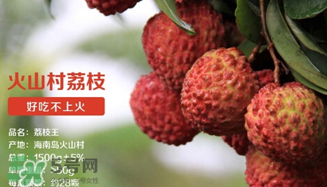 荔枝王是什么品種？荔枝王多少錢一斤2017？