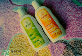 WELEDA維蕾德洗發水怎么樣_好用嗎？