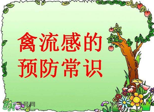 6月有禽流感嗎？2017年6月有禽流感嗎？