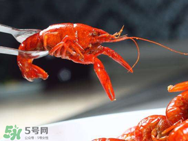 潛江小龍蝦有什么特色？潛江龍蝦節(jié)是每年什么時候？ 