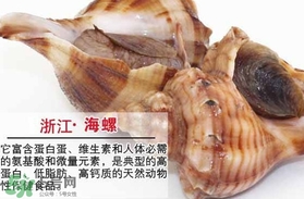 死海螺能吃嗎？死海螺可以吃嗎