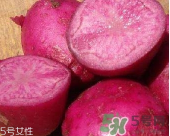 紅土豆是轉基因的嗎？紅土豆和正常土豆的區別