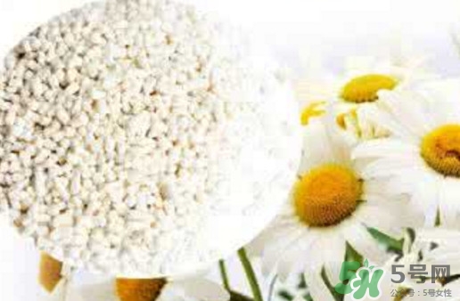 菊花晶是熱性還是涼性？菊花晶嬰兒可以喝嗎？