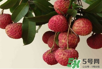 糯米糍荔枝多少錢一斤2017？糯米糍荔枝市場價格