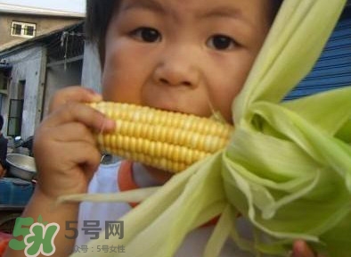 水果玉米是甜玉米嗎？水果玉米和甜玉米的區別