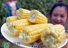 水果玉米和普通玉米有什么區別？水果玉米產地是哪里