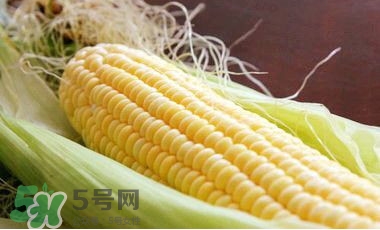 水果玉米是甜玉米嗎？水果玉米和甜玉米的區別
