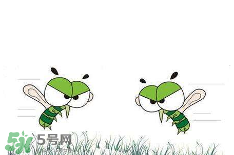 招蚊子是什么原因？招蚊子體質怎么辦？