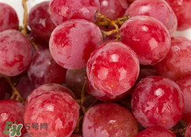 提子什么季節成熟？提子什么時候上市？