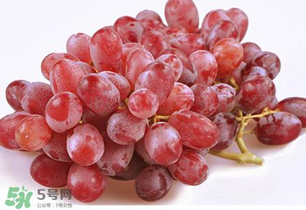 提子為什么會澀？提子澀怎么辦是沒熟嗎？
