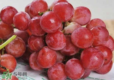 提子為什么會澀？提子澀怎么辦是沒熟嗎？
