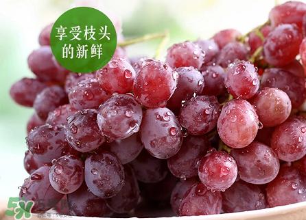 提子為什么會澀？提子澀怎么辦是沒熟嗎？