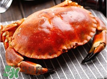 面包蟹是哪里產(chǎn)的？面包蟹哪里不能吃圖解