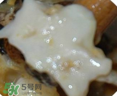 面包蟹是哪里產(chǎn)的？面包蟹哪里不能吃圖解