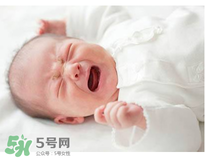 早產兒要喝早產兒奶粉嗎？早產兒最好喝什么奶？
