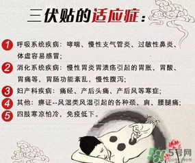 三伏貼能治什么病？三伏貼能治哪些??？
