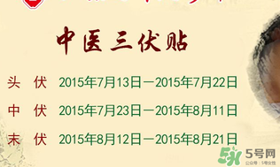 三伏貼能治什么??？三伏貼能治哪些?。?></p><h3 style=
