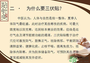 三伏貼能治什么??？三伏貼能治哪些??？