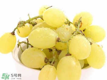 馬奶葡萄什么時候上市？馬奶葡萄2017上市時間
