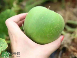 梨瓜是熱性還是涼性？梨瓜是酸性還是堿性？