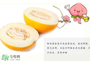 黃金瓜熱量高嗎？黃金瓜會(huì)胖嗎？