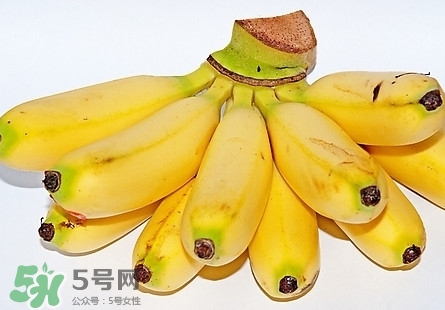 芭蕉熱量高嗎？芭蕉可以減肥嗎