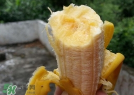 芭蕉是熱性還是涼性？芭蕉是熱性還是寒性？
