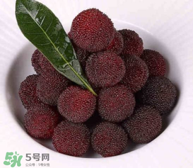 荸薺楊梅和東魁楊梅哪個好吃？荸薺楊梅跟東魁楊梅有什么區別？