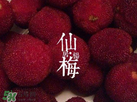 仙居楊梅多少錢一斤？仙居楊梅多少錢一斤2017？
