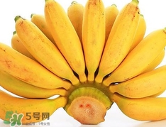 皇帝蕉是不是香蕉？皇帝蕉與普通香蕉區別
