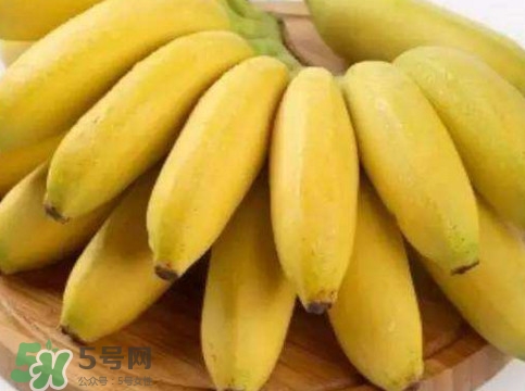 帝王蕉多少錢(qián)一斤？帝王蕉是轉(zhuǎn)基因香蕉嗎
